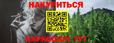 сатива Комсомольск-на-Амуре
